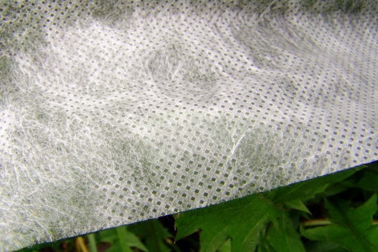 Белый спанбонд